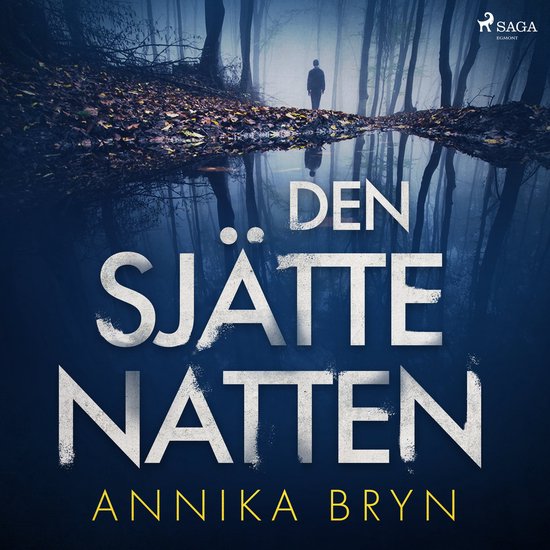 Den sjätte natten - cover