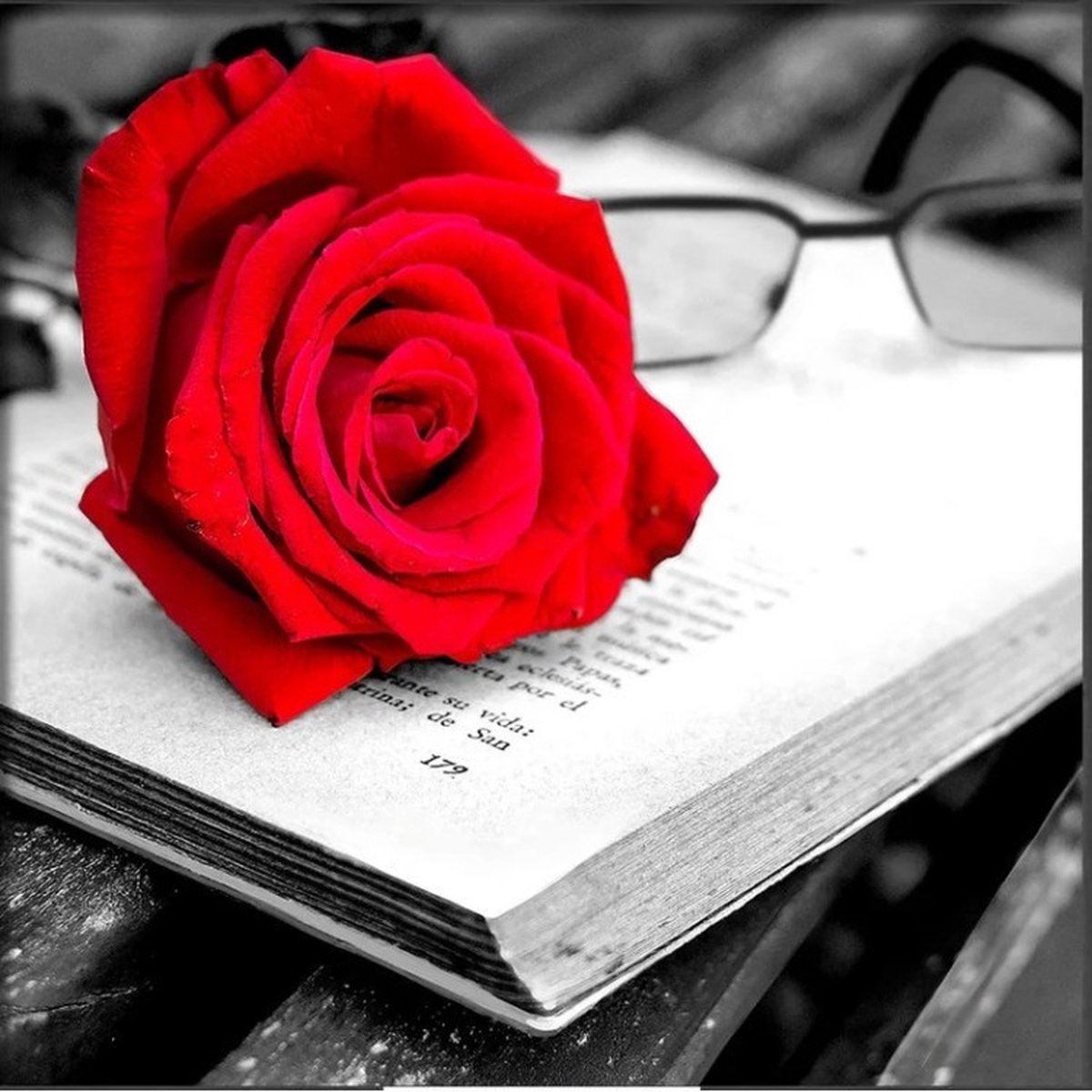 Diamond painting kit "Rose and Book" 25x25 cm  vierkante steentjes