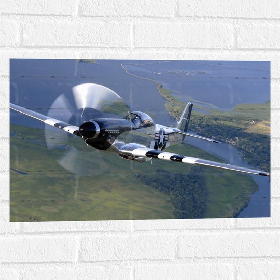 WallClassics - Muursticker - Opstijgend Minnie Vliegtuig boven Landschap - 60x40 cm Foto op Muursticker