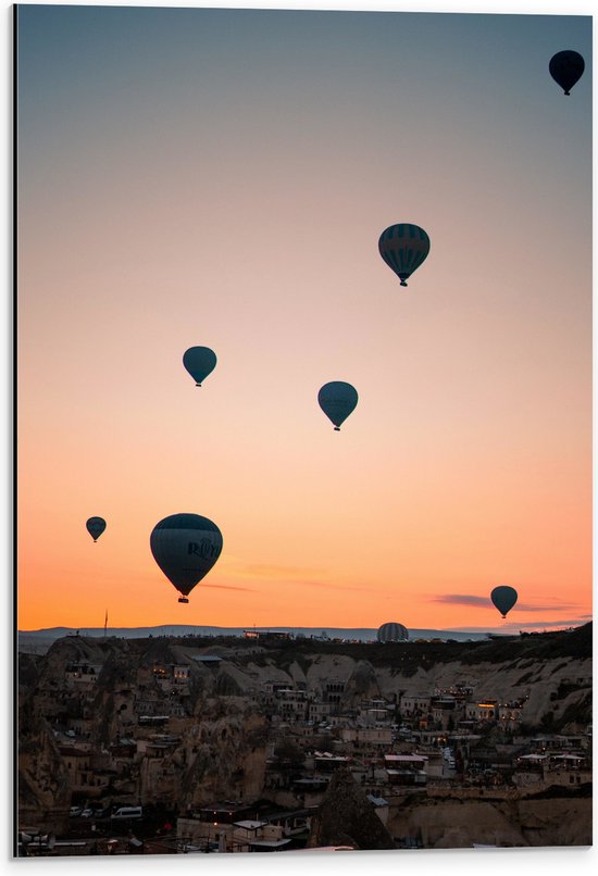 WallClassics - Dibond - Blauw/Witte Luchtballonnen boven Dorpje in Bergen - 40x60 cm Foto op Aluminium (Wanddecoratie van metaal)