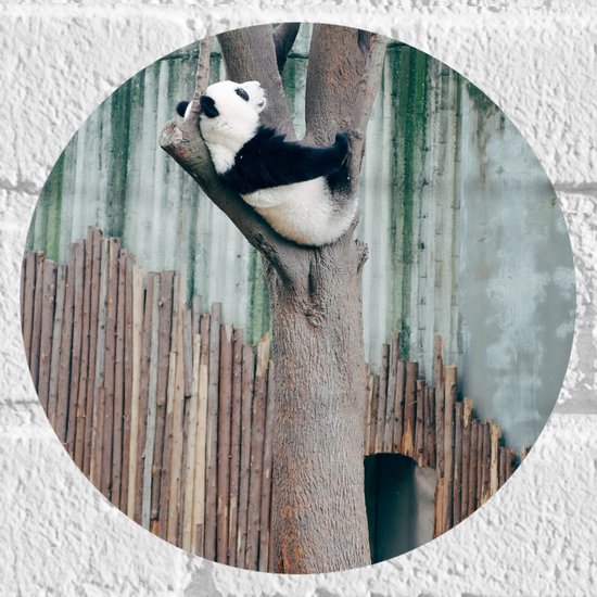Muursticker Babykamer Panda - Kinderkamer