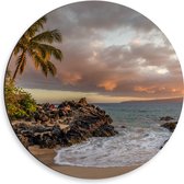 WallClassics - Cercle mural Dibond - Plage tropicale - 50x50 cm Photo sur cercle mural en aluminium (avec système d'accrochage)