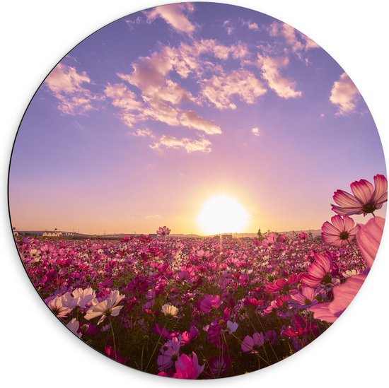 WallClassics - Dibond Muurcirkel - Veld Roze Bloemen met Paarse Lucht - 60x60 cm Foto op Aluminium Muurcirkel (met ophangsysteem)