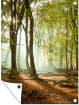 Décoration de Jardin Forêt - Soleil - Saisons - Paysage - 30x40 cm - Toile de jardin - Poster extérieur