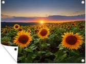 Tuinposter - Tuindoek - Tuinposters buiten - Bloemen - Nacht - Zonsondergang - Zonnebloem - Horizon - 80x60 cm - Tuin