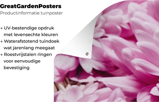 Affiche clôture Fleurs - Rose - Nature - 200x100 cm - Toile de jardin