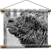 WallClassics - Affiche textile - Alpaga mouillé Zwart - Wit - 40x30 cm Photo sur Textile