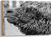 WallClassics - Hout - Natte Alpaca Zwart - Wit - 75x50 cm - 12 mm dik - Foto op Hout (Met Ophangsysteem)