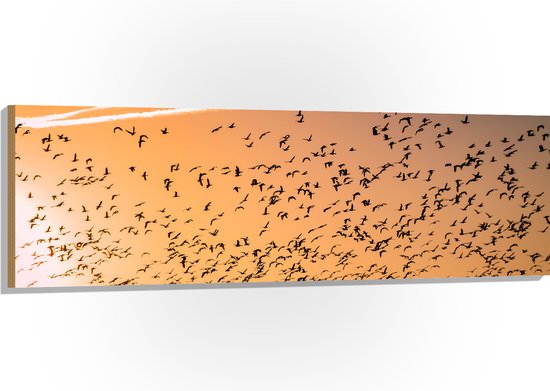 WallClassics - Hout - Heel veel Vogels in de Lucht met Zonsondergang - 150x50 cm - 12 mm dik - Foto op Hout (Met Ophangsysteem)