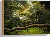 WallClassics - Bois - Troncs, Branches et Feuilles en Bouquet - 40x30 cm - 12 mm d'épaisseur - Photo sur Bois (Avec Système d'accrochage)