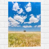 WallClassics - Muursticker - Witte Schapenwolken boven Graslandschap - 40x60 cm Foto op Muursticker