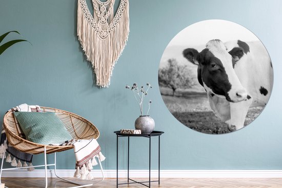 Portrait de vache Cercle mural aluminium ⌀ 120 cm - Tirage photo sur cercle mural / cercle vivant / cercle de jardin (décoration murale) XXL / Groot format!