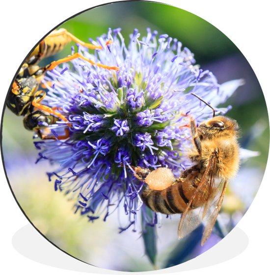 WallCircle - Wandcirkel - Muurcirkel - Drie bijen op een kogeldistel - Aluminium - Dibond - ⌀ 120 cm - Binnen en Buiten XXL