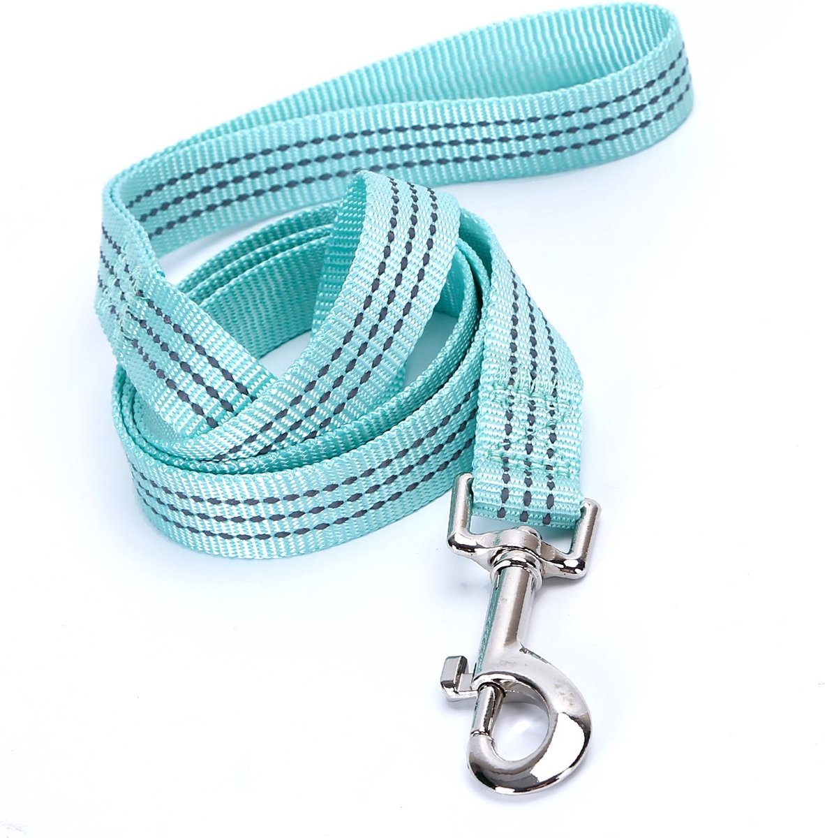 Nobleza Honden uitlaatriem - Hondenriem standaard - reflecterend - 120 cm - Mint / lichtblauw