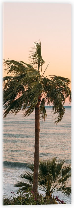 WallClassics - Acrylglas - Hoge Palmbomen bij Zee - 20x60 cm Foto op Acrylglas (Wanddecoratie op Acrylaat)