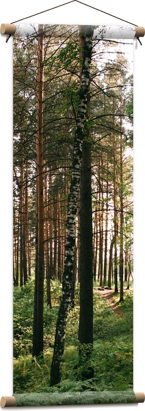 WallClassics - Textielposter - Hoge Bomen met Groen in Bos - 30x90 cm Foto op Textiel