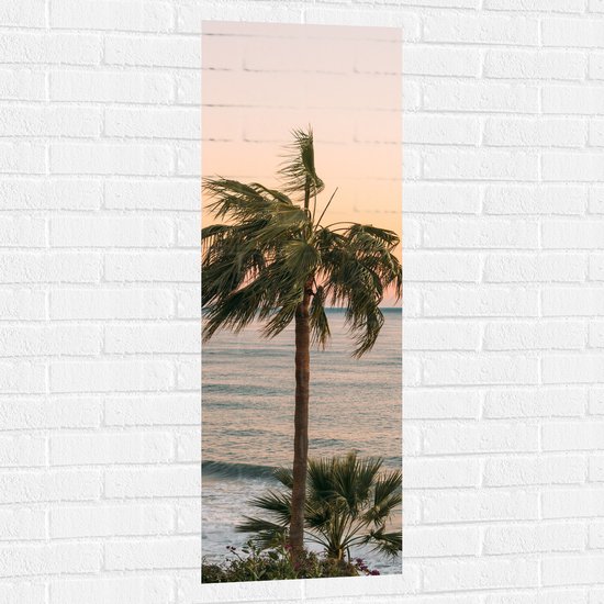 WallClassics - Muursticker - Hauts Palmiers au bord de la mer - 40x120 cm Photo sur Muursticker