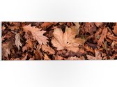 WallClassics - PVC Schuimplaat - Hoopje Herfstbladeren - 60x20 cm Foto op PVC Schuimplaat (Met Ophangsysteem)