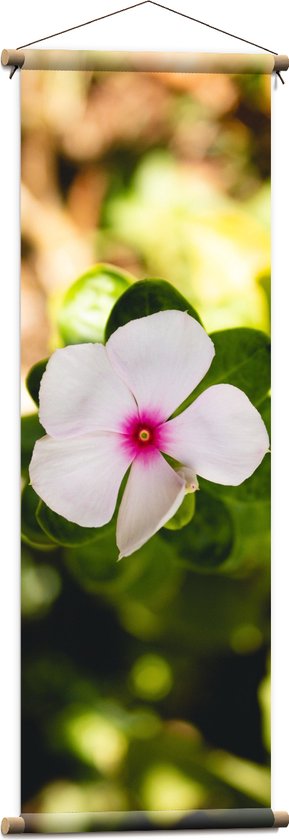 WallClassics - Affiche Textile - Bloem Rose Clair - 40x120 cm Photo sur Textile