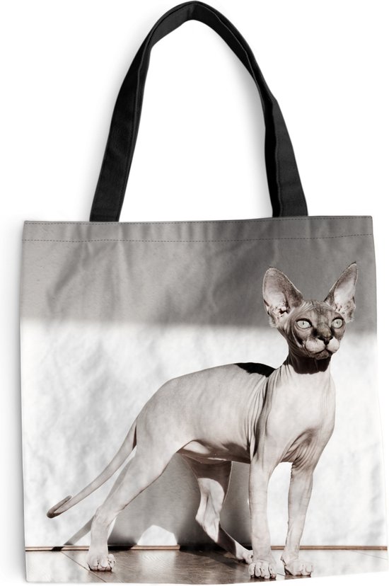 Sac bandoulière - Sac de plage - Shopper Sporty chat Sphynx avec rayons de soleil - 45x45 cm - Sac coton