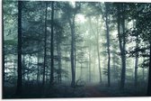 WallClassics - Dibond - Mist in een Donker Bos - 75x50 cm Foto op Aluminium (Met Ophangsysteem)