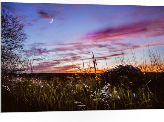 WallClassics - PVC Schuimplaat- Roze Wolken in de Lucht - 105x70 cm Foto op PVC Schuimplaat