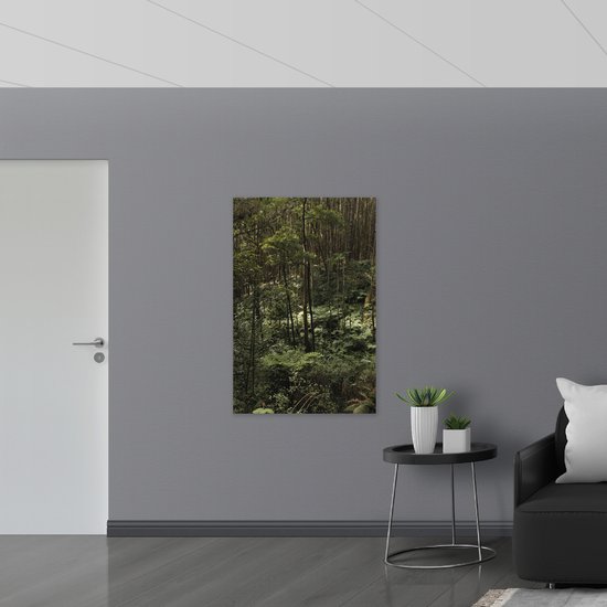 WallClassics - Plaque de Mousse PVC - Jungle Verte - 80x120 cm Photo sur Plaque de Mousse PVC