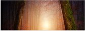 WallClassics - Poster Glanzend – Licht aan het Einde van een Mistig Bospad - 120x40 cm Foto op Posterpapier met Glanzende Afwerking