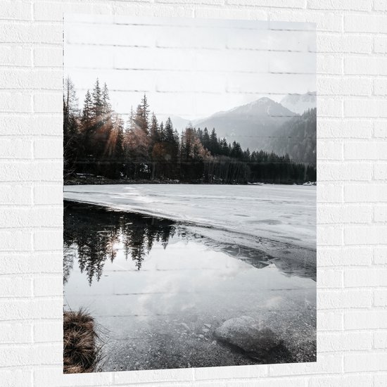 WallClassics - Muursticker - Zon door Boomtoppen in de Sneeuw - 80x120 cm Foto op Muursticker