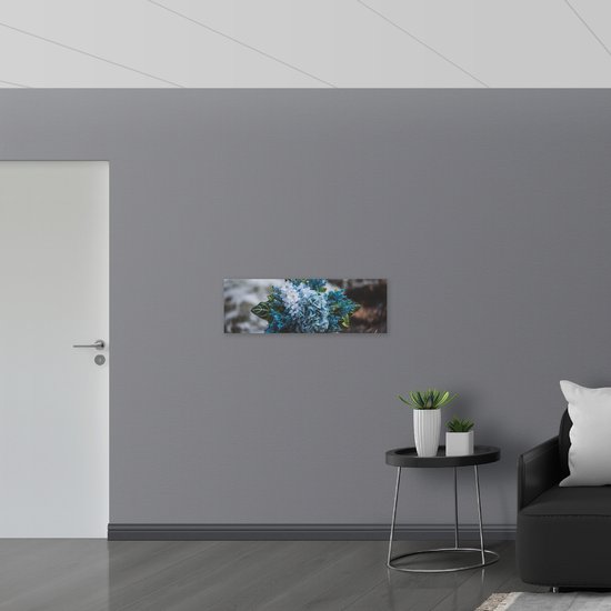 WallClassics - Drapeau - Photo d'un Klein Bouquet de Fleurs Witte et Bleues - 90x30 cm Photo sur Drapeau Polyester