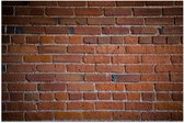 WallClassics - Poster Glossy - Stone Wall Brown - 90x60 cm Photo sur Papier Poster avec Finition Brillante