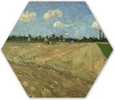 Hexagon wanddecoratie - Kunststof Wanddecoratie - Hexagon Schilderij - Geploegde akkers - Vincent van Gogh - 120x103 cm