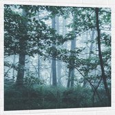 WallClassics - Muursticker - Brouillard Léger dans une Forêt Verte - 100x100 cm Photo sur Muursticker