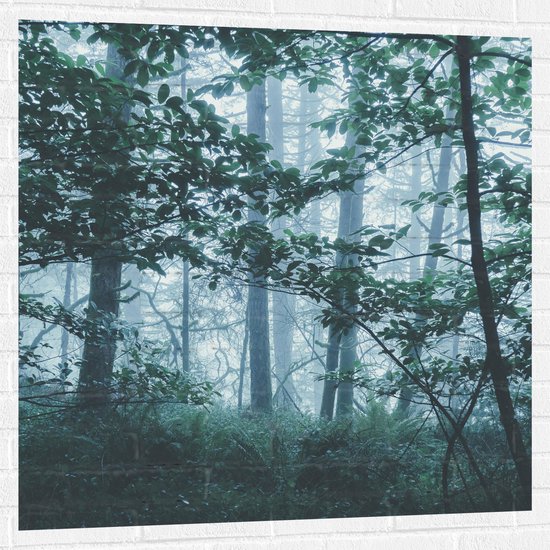 WallClassics - Muursticker - Brouillard Léger dans une Forêt Verte - 100x100 cm Photo sur Muursticker