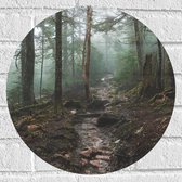 WallClassics - Muursticker Cercle - Ruisseau à travers la forêt - 40x40 cm Photo sur Muursticker