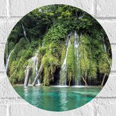 WallClassics - Muursticker Cirkel - Waterval tussen de Planten - 30x30 cm Foto op Muursticker