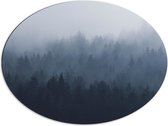 WallClassics - Dibond Ovaal - Bos in de Mist - 80x60 cm Foto op Ovaal (Met Ophangsysteem)