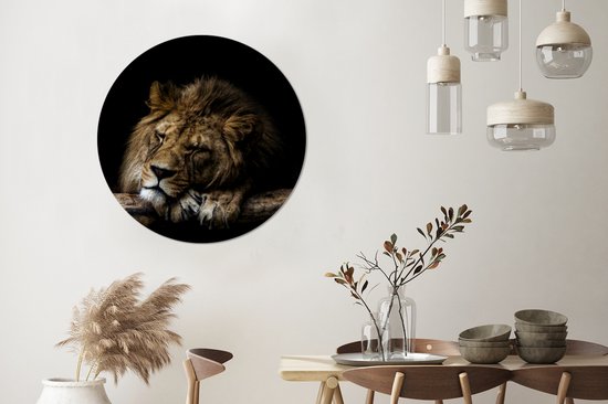 Papier peint Circle - Lion - Arbre - Marron - 100x100 cm XXL