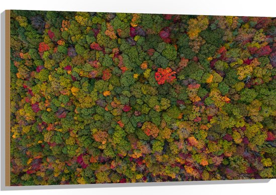 WallClassics - Hout - Rood Groen en Gele Bomen in het Bos vanuit de Lucht - 105x70 cm - 12 mm dik - Foto op Hout (Met Ophangsysteem)