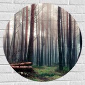 WallClassics - Muursticker Cirkel - Omgevallen Bomen in het Bos - 70x70 cm Foto op Muursticker