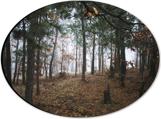 WallClassics - Dibond Ovaal - Herfstbladeren tussen de Bomen in een Bos - 28x21 cm Foto op Ovaal (Met Ophangsysteem)