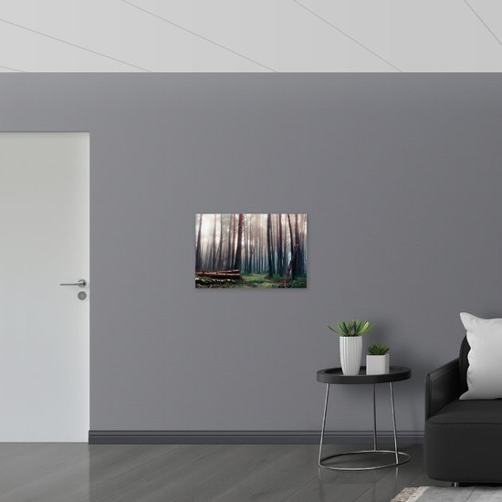 WallClassics - Panneau en mousse PVC - Arbres tombés dans la forêt - Photo 75x50 cm sur panneau en mousse PVC (avec système de suspension)