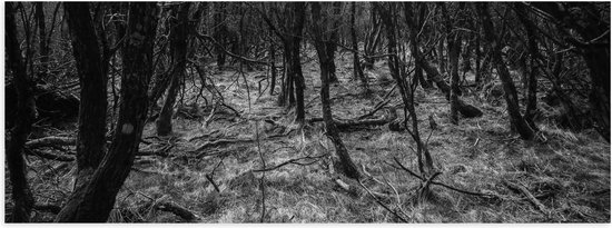 WallClassics - Poster Glossy - Branches dans la Forêt Zwart / Wit - 120x40 cm Photo sur Papier Poster avec Finition Brillante