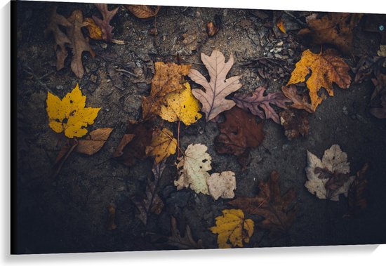 WallClassics - Toile - Feuilles d'automne dans le Sable - 120x80 cm Photo sur toile (Décoration murale sur toile)