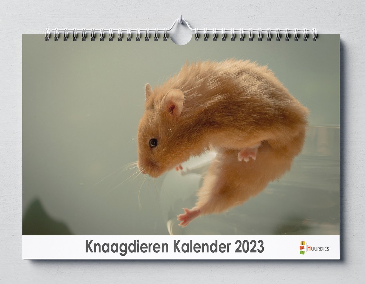 Knaagdieren kalender 2023 | 35x24 cm | jaarkalender 2023 | Wandkalender 2023