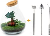 Terrarium - Drop XL - ↑ 37 cm - Ecosysteem plant - Kamerplanten - DIY planten terrarium - Mini ecosysteem + Hark + Schep + Pincet