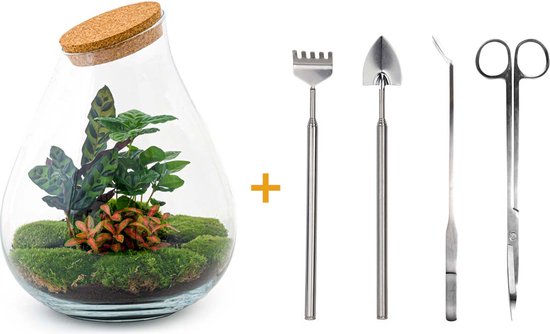 Plant Terrarium Starter Set met fles 15L - Esschert Design