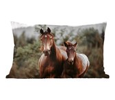 Sierkussen Paarden pour l'intérieur - Mère cheval avec son poulain - 60x40 cm - Coussin intérieur rectangulaire en coton
