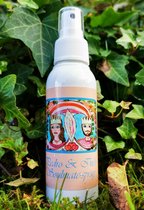 Pedro & Ines Soulmate Spray - Magical Aura Chakra Spray - In the Light of the Goddess by Lieveke Volcke - 100ml