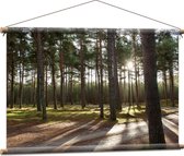 WallClassics - Affiche Textile - Sentiers de randonnée dans la Forêt - 90x60 cm Photo sur Textile